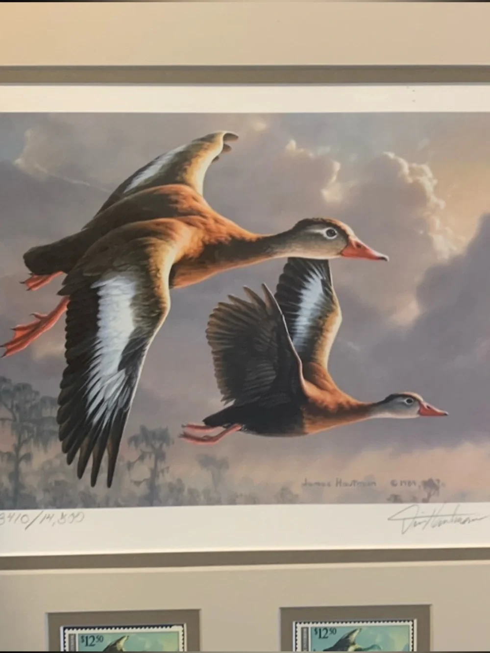 1989 Migratory Bird Hunting Duck Stamp Printd